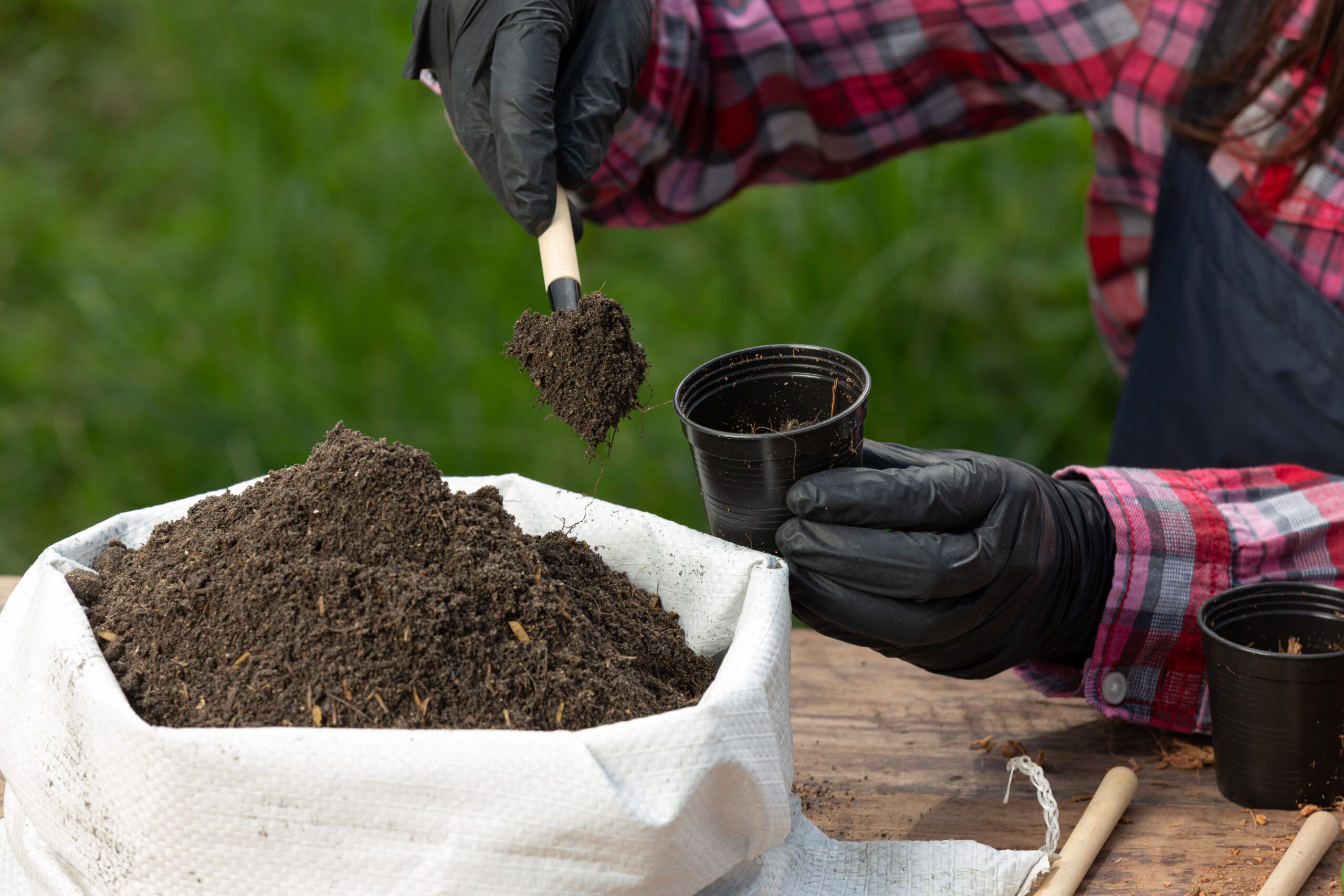 Closeup picture of  Gardener's Hands Planting Plant